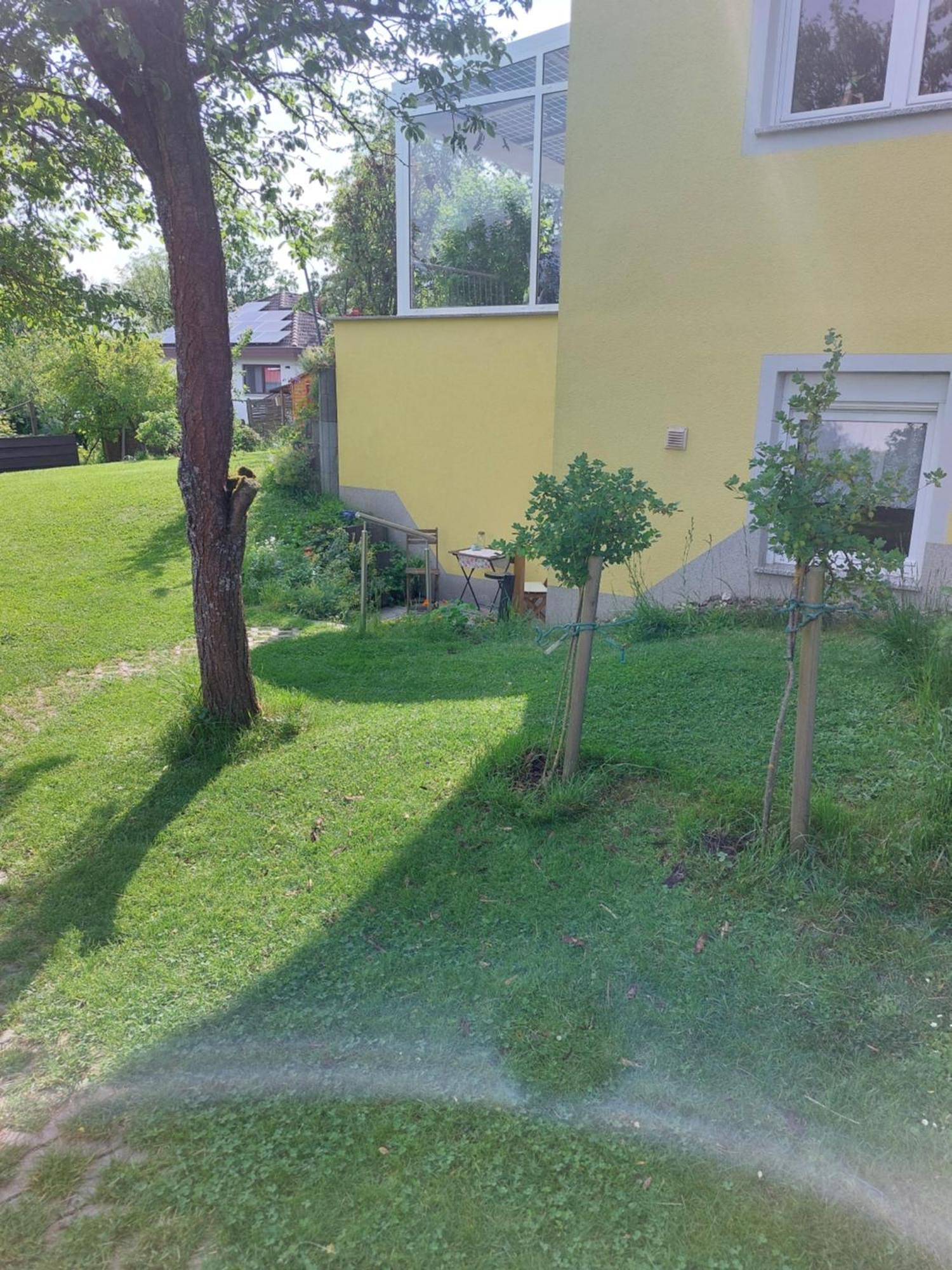 Gelbes Haus Heldritt Apartamento Bad Rodach Exterior foto